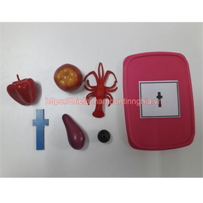 Giáo cụ Montessori bộ học phát âm chữ t