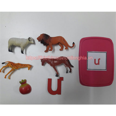 Giáo cụ Montessori bộ học phát âm chữ ư