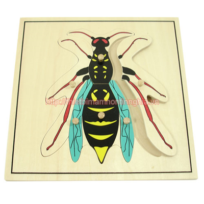 Giáo cụ Montessori miếng ghép hình con ong
