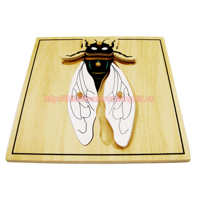 Giáo cụ Montessori miếng ghép hình con ruồi