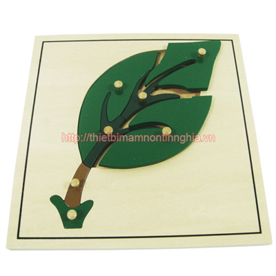 Giáo cụ Montessori miếng ghép hình lá cây