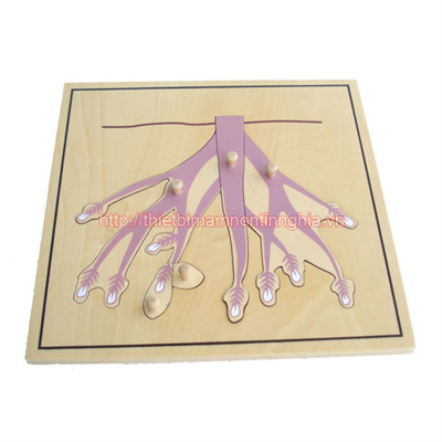 Giáo cụ Montessori miếng ghép hình rễ cây