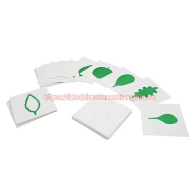 Giáo cụ Montessori thẻ các loại lá cây
