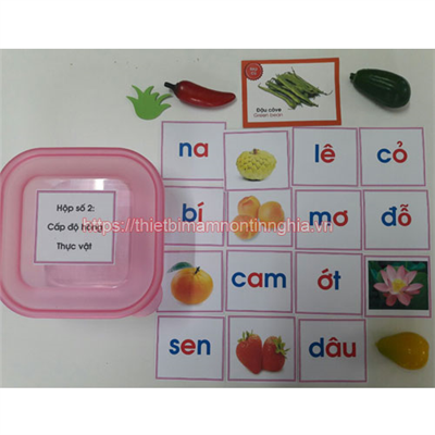 Giáo cụ Montessori từ chỉ thực vật