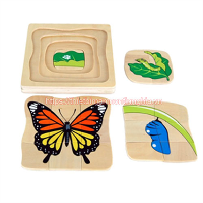 Vòng đời của bướm